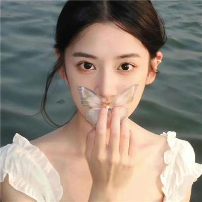 送子鸟